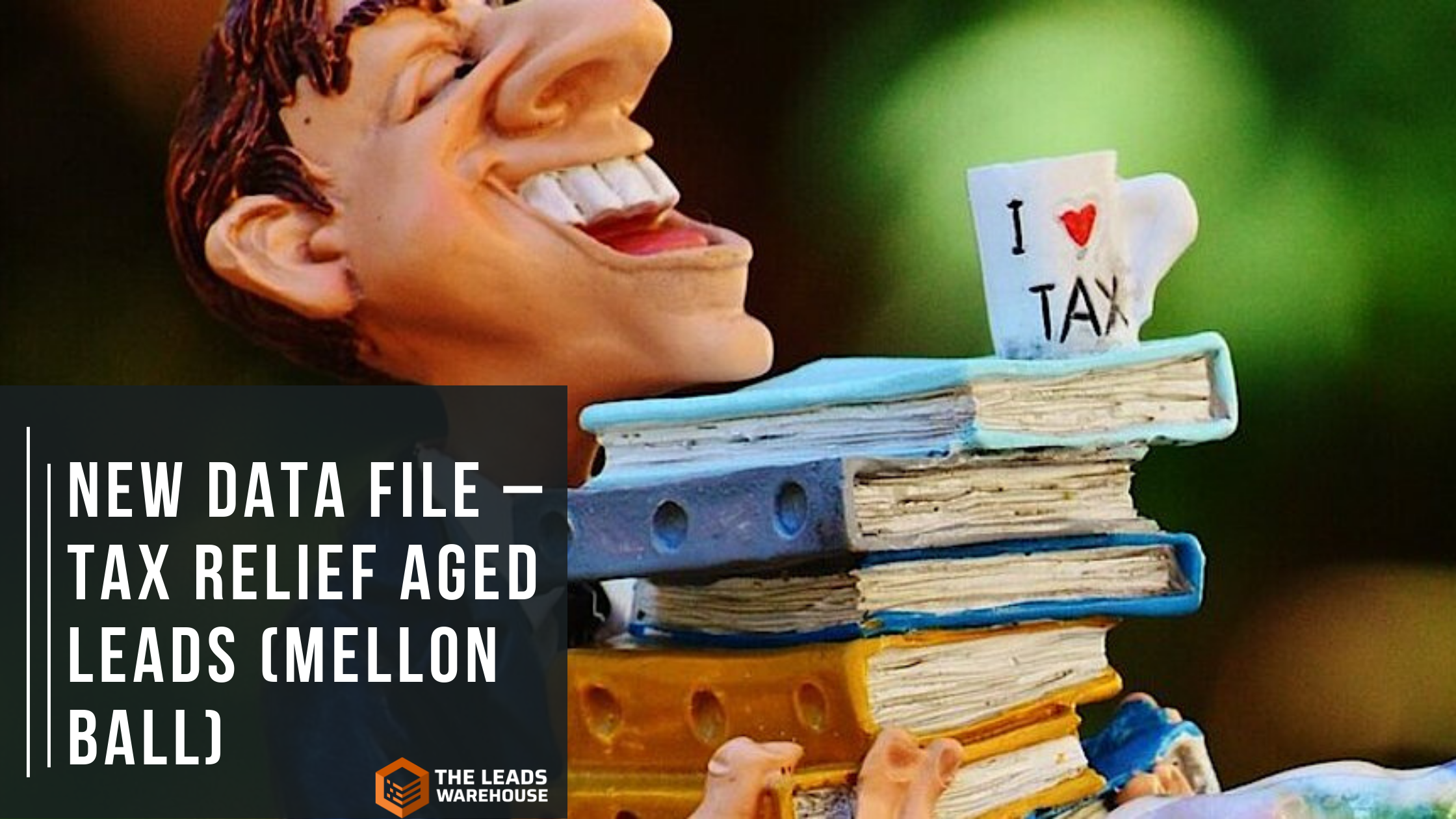 Tax Relief Aged Leads