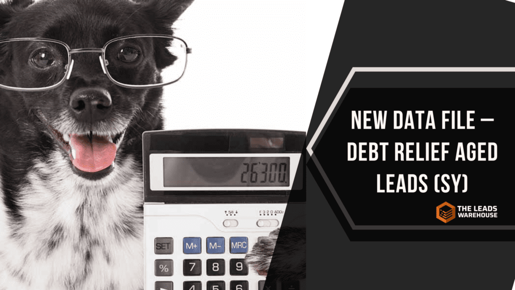 Debt Relief Leads