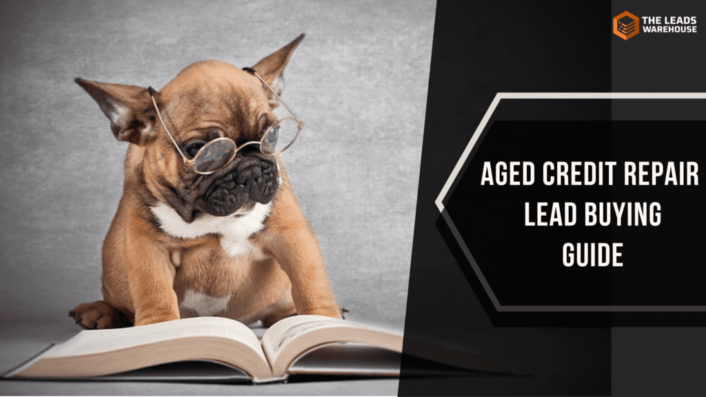 Aged Credit Repair Leads