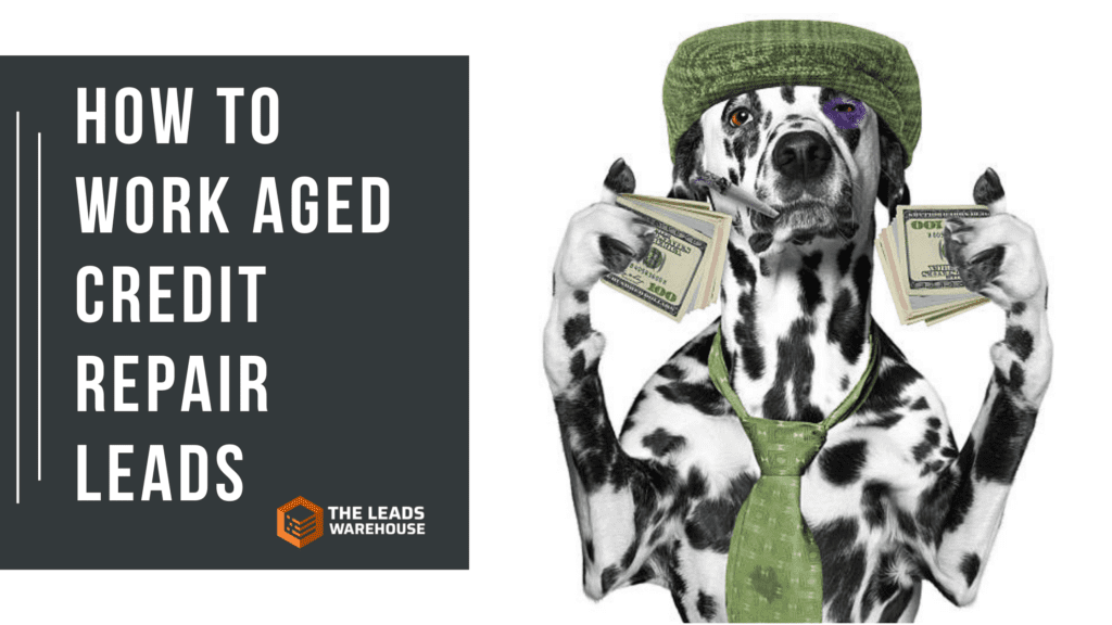 Aged Credit Repair Leads