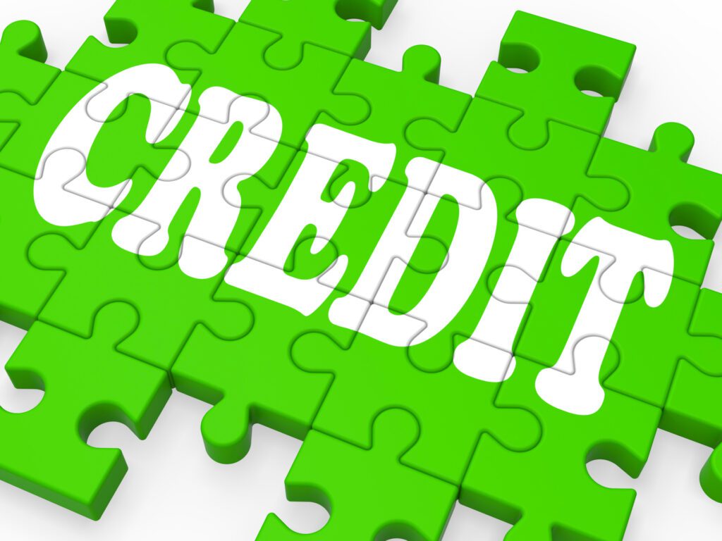 Credit Repair Leads