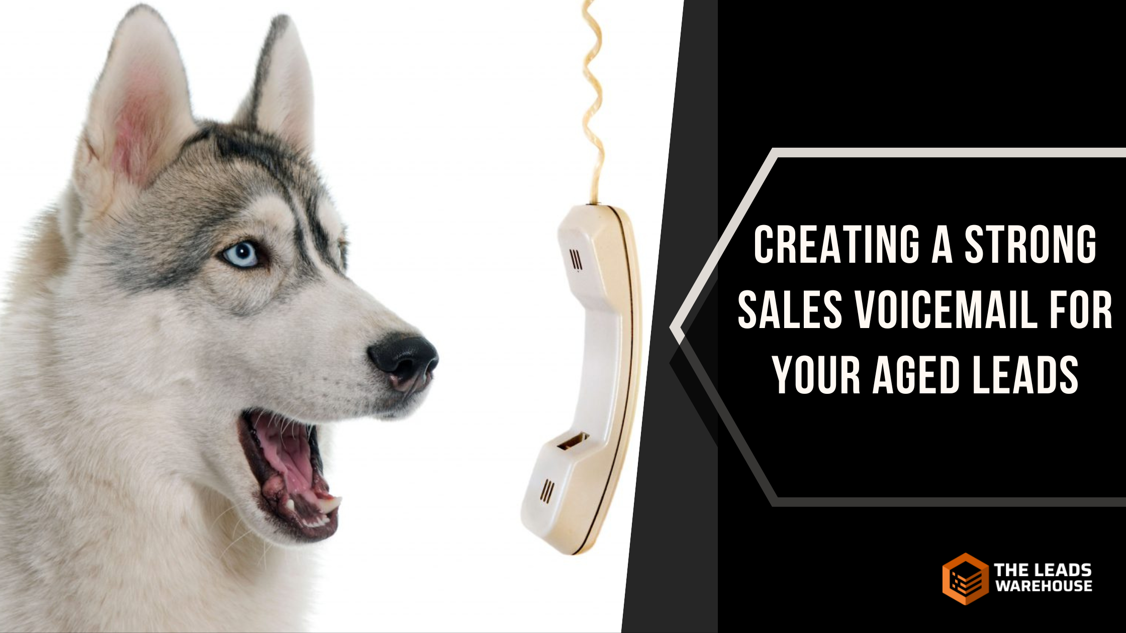 Sales voicemail aged leads